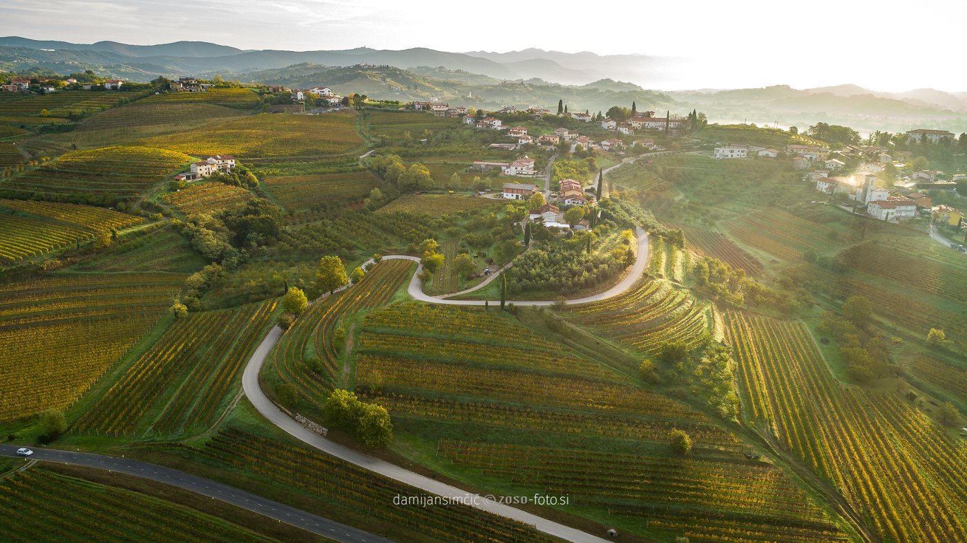 Walk among the endless hills and vineyards